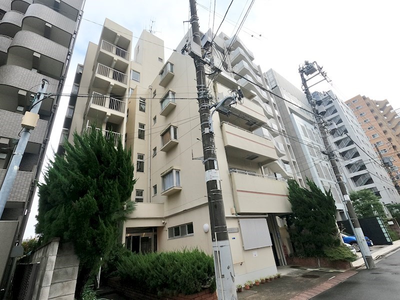 柳橋リバーサイドマンション 現地写真