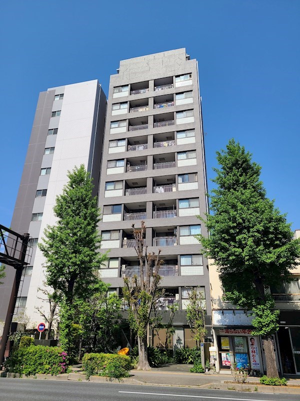 メセーヌ 現地写真