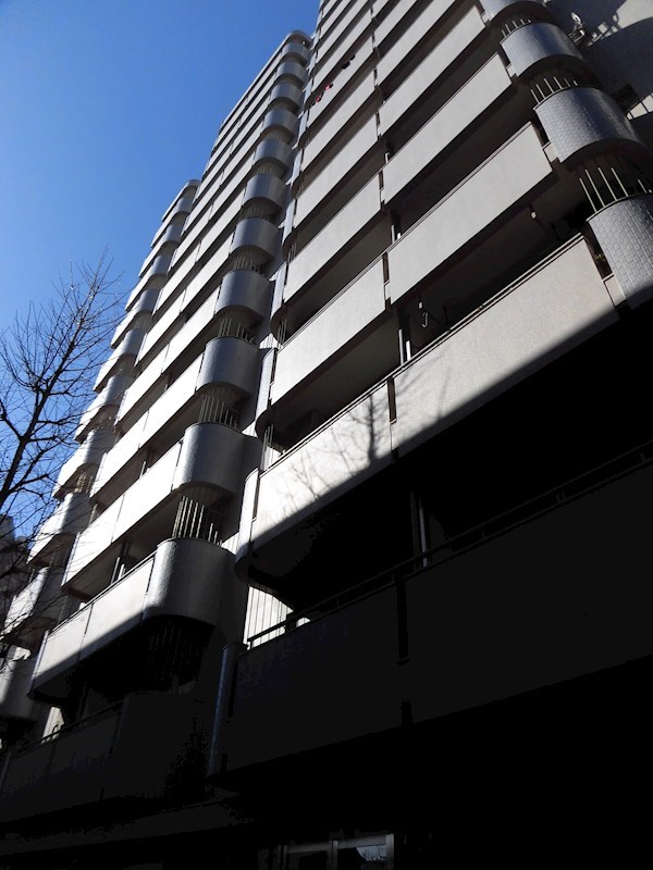 上馬マンション その他