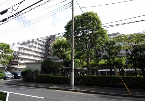 仲六郷ハウス 現地写真