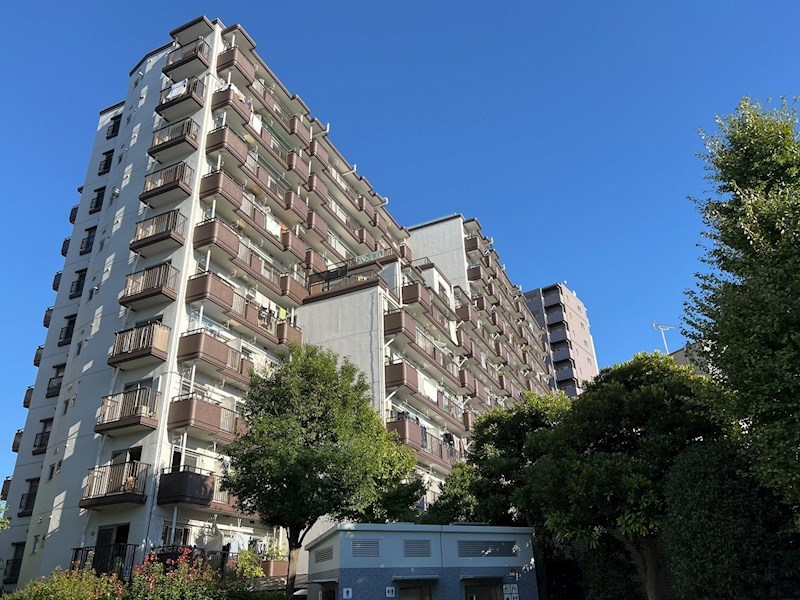 ワコー王子 現地写真