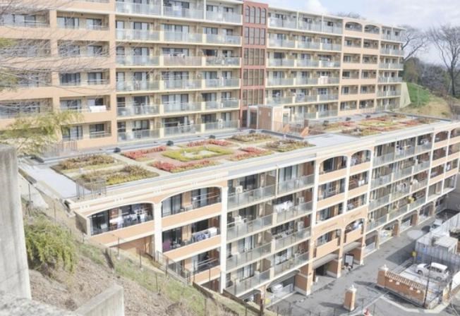 アデニウム日吉 現地写真