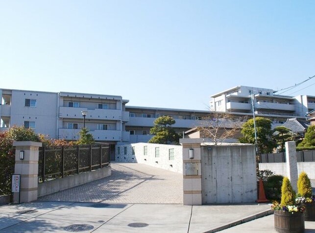 アデニウム菊名 現地写真