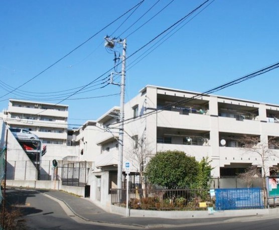 アデニウム菊名 現地写真