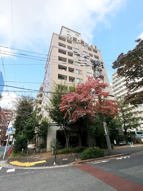 アクシア新宿御苑 現地写真
