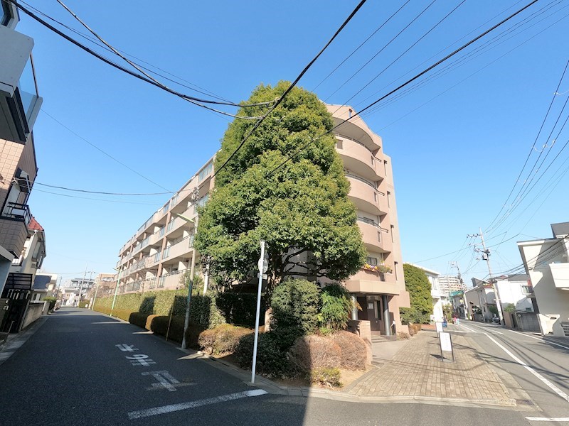 桜上水ハイム 現地写真