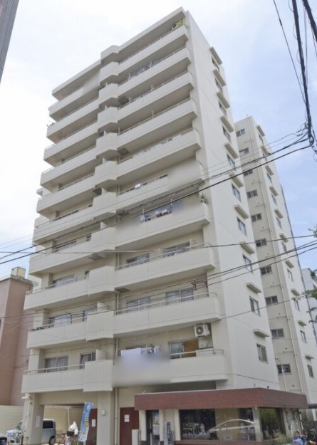 レック亀戸グリーンマンション 現地写真