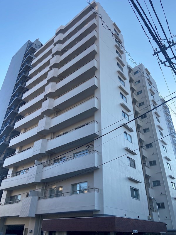 レック亀戸グリーンマンション 共用部写真（エントランス）