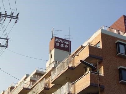 エクレール妙蓮寺 現地写真