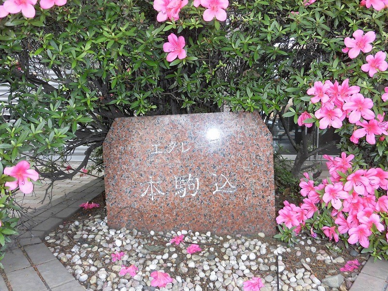 エクレーヌ本駒込 現地写真（その他）