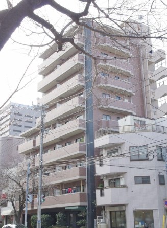 エクセルダイア大森 現地写真