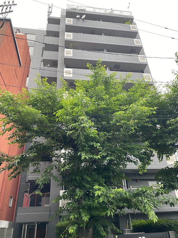 エクセルシオール新宿西戸山 現地写真