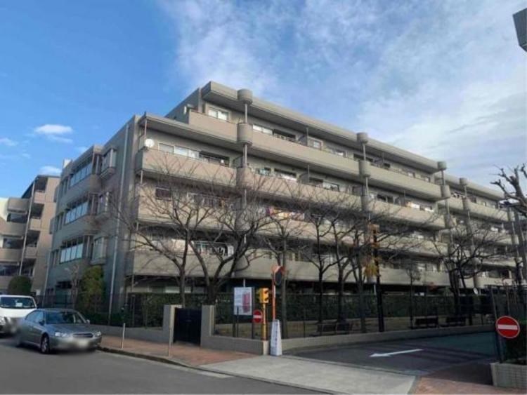 ヴェルナード大倉山参番館 現地写真