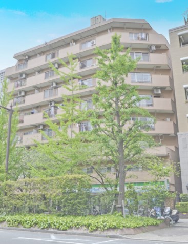 シャルマン築地明石町 現地写真