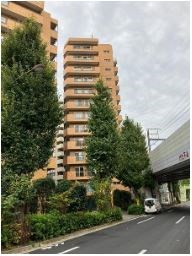 都立大ハイツ 現地写真