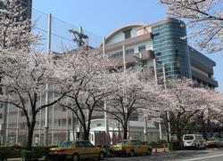 ベイシティ晴海スカイリンクタワー 中学校