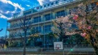グリーンキャピタル上池台 小学校