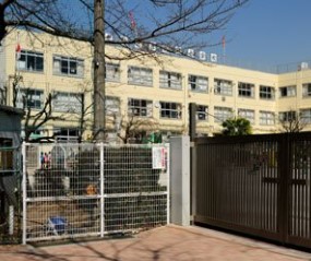 新中野マンション 小学校