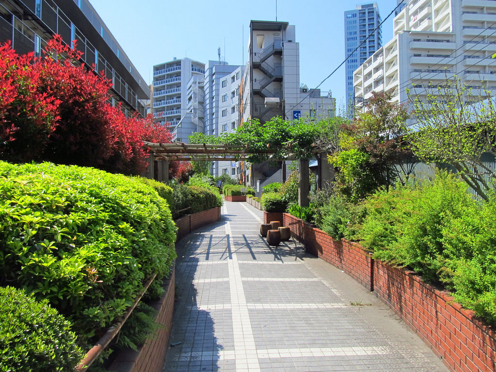新中野マンション 公園