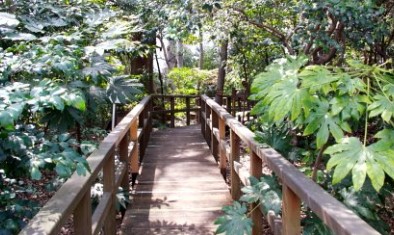 ライオンズマンション文京 公園