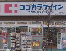 ライオンズグローベル桜新町 ドラッグストア