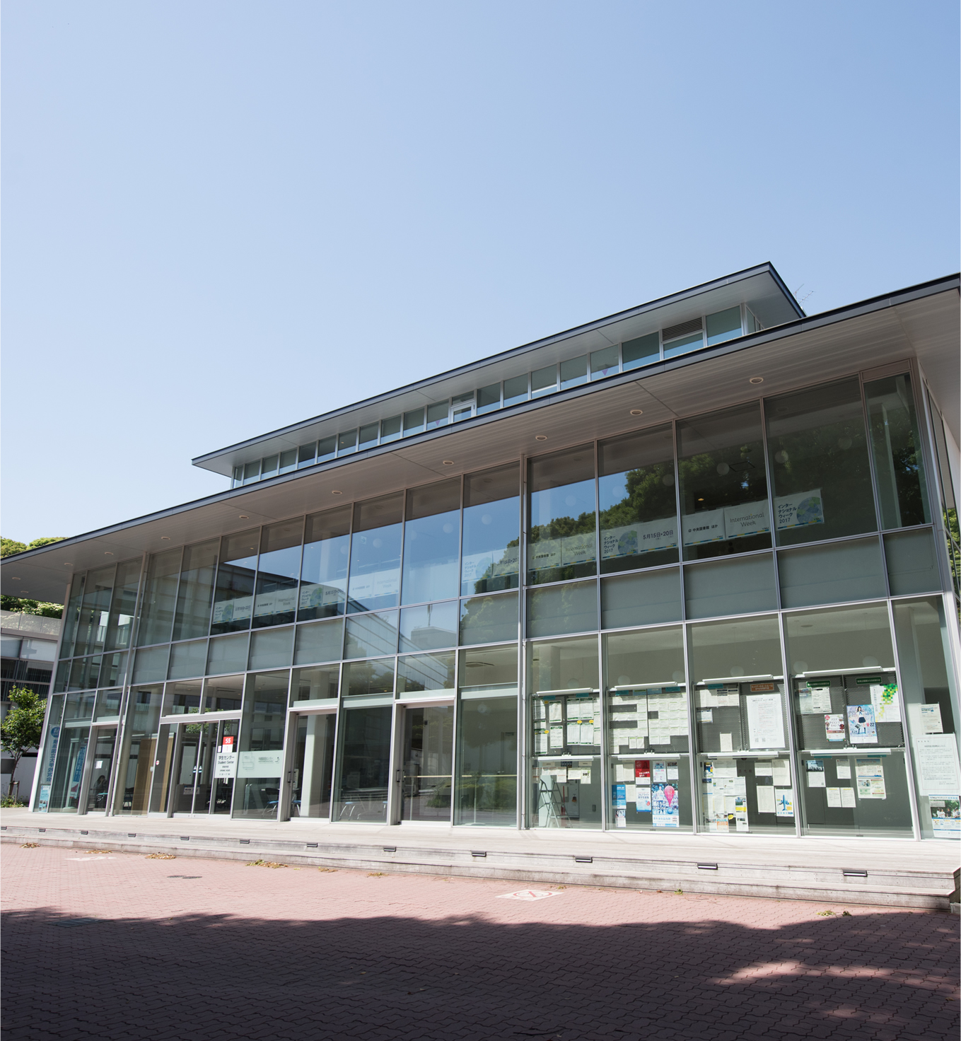 サニーハイツ新横浜 大学・短大