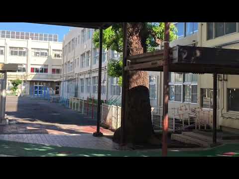 上大岡パーク・ホームズ 小学校