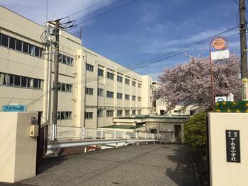 クレッセント上大岡ヴューズテラス 小学校