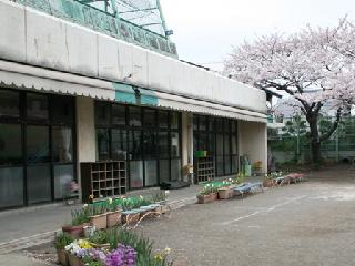 自由が丘セントラルマンション 幼稚園