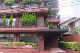 ドムス西麻布 共用部写真（エントランス）