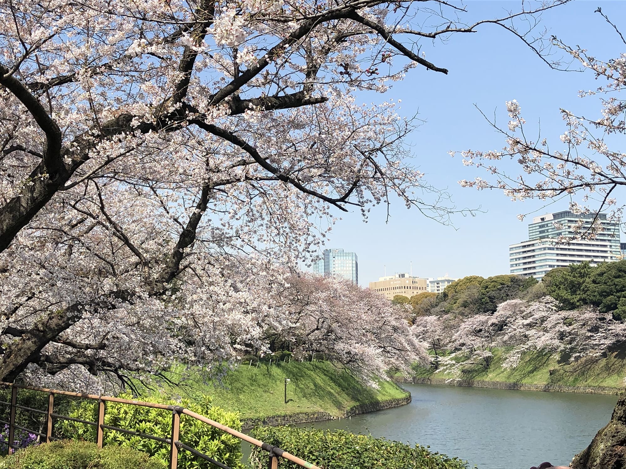 ブランズ四番町 公園