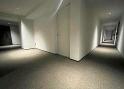 ピアース赤坂 共用部写真（その他）
