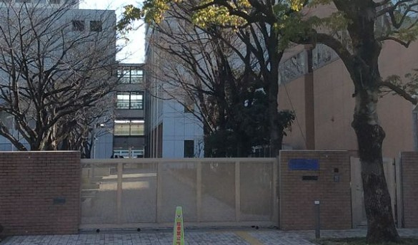 ワールドシティタワーズ　キャピタルタワー 小学校