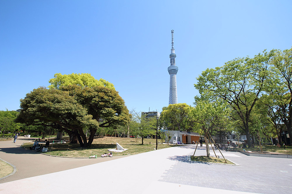 隅田川パーク・ホームズ 公園