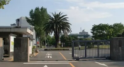 シーフォートタワー 大学・短大