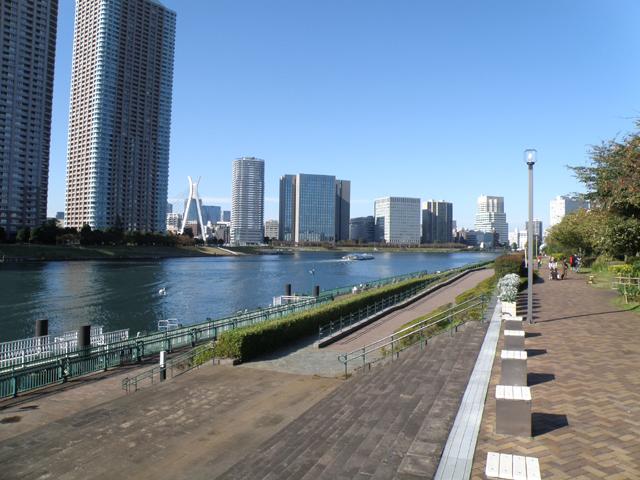 ル・グラン門前仲町 公園