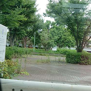 カワサキアイランドスイート 公園