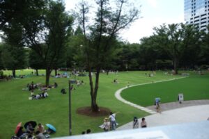 ハイネスロフティ 公園