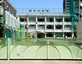 ライオンズマンション中野坂上シティ 小学校