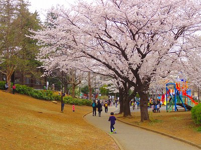 たまプラーザ団地７街区４号棟 公園