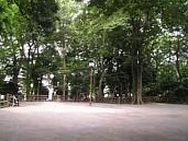 キャッスル共進マンション 公園