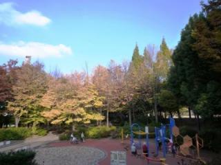 ライオンズマンション音羽 公園
