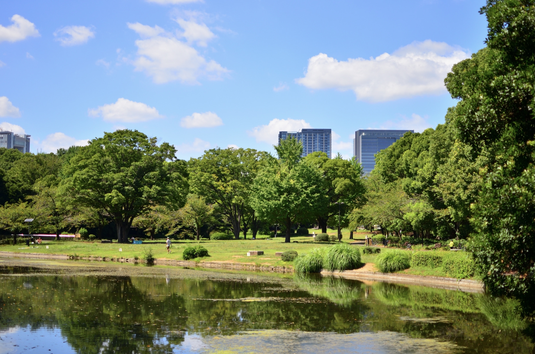 パラシオン飯田橋 公園
