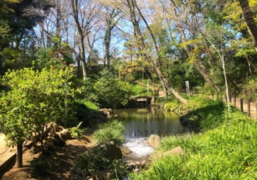 プリミエール下落合 公園