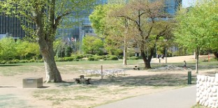 アンバサダー六本木 公園