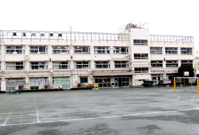 自由ヶ丘第３マンション 小学校