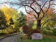 ニューライフ西早稲田 公園