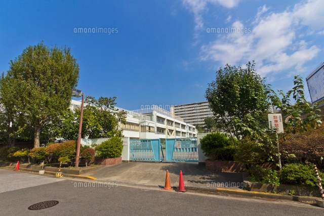 ニューイースタンハイツ 小学校