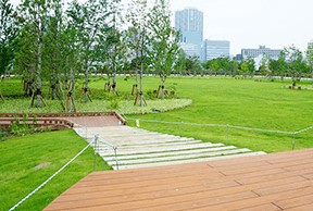 東京ベイビュウ 公園