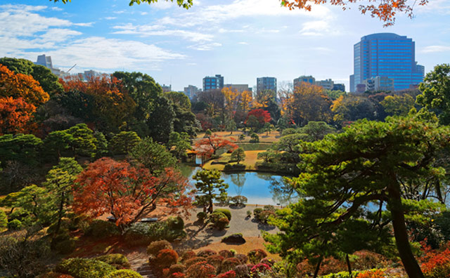オープンレジデンシア文京本駒込 公園